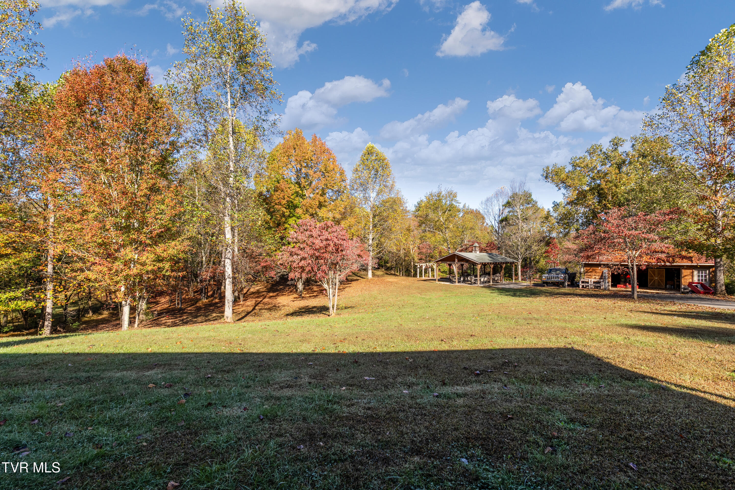 1374 West Allens Bridge Road Greeneville, TN 37743 - Photo 8 of 80 DSC05238 - Copy (3) - Copy