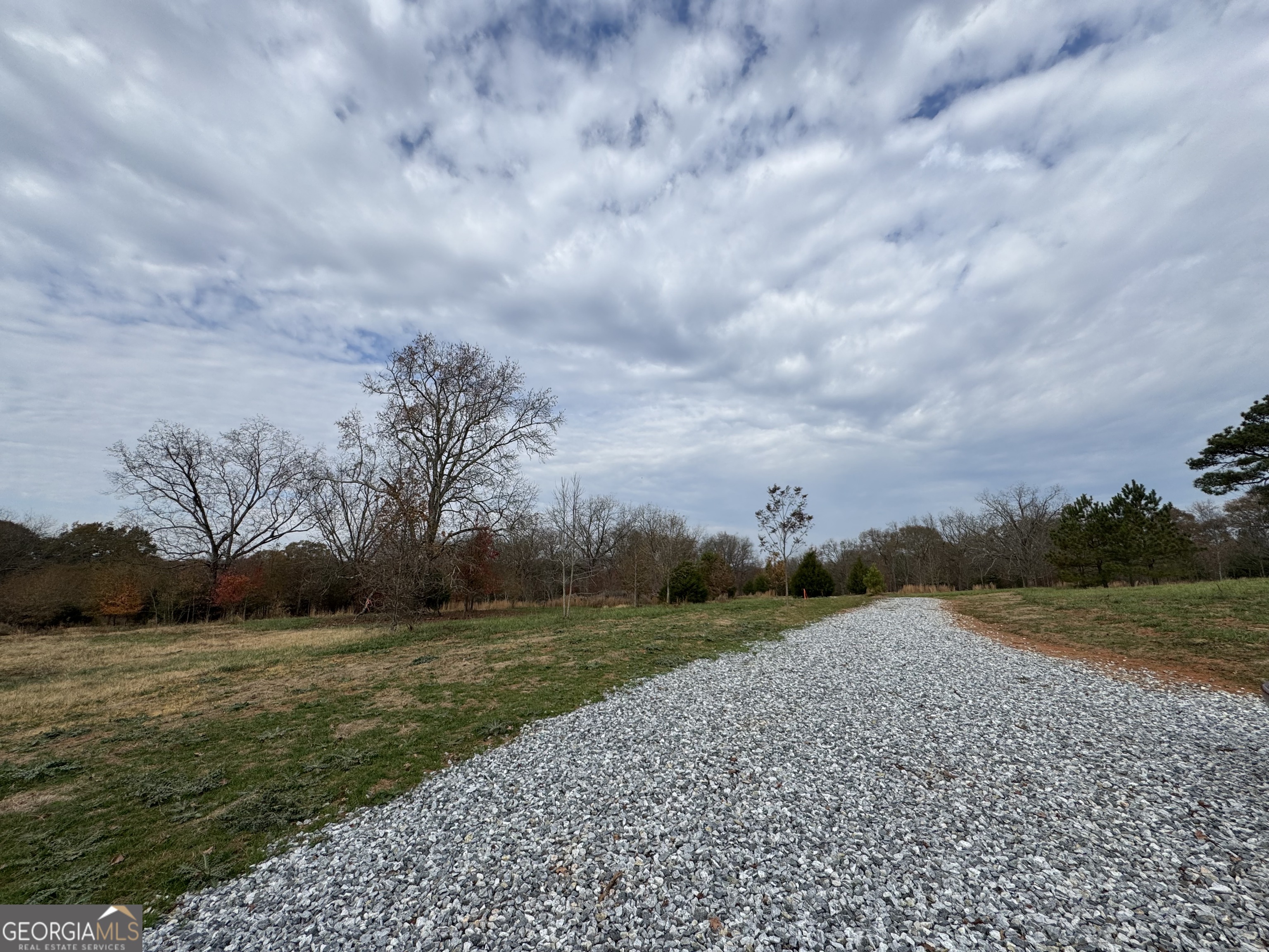 3439-tract 5 Providence Church Road Hartwell, GA 30643 - Photo 4 of 10 a view of a grassy field with an trees