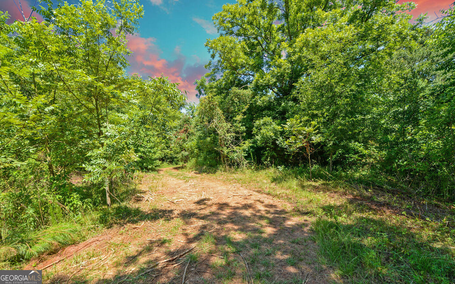 3439-tract 5 Providence Church Road Hartwell, GA 30643 - Photo 5 of 10 a view of a yard with plants and trees