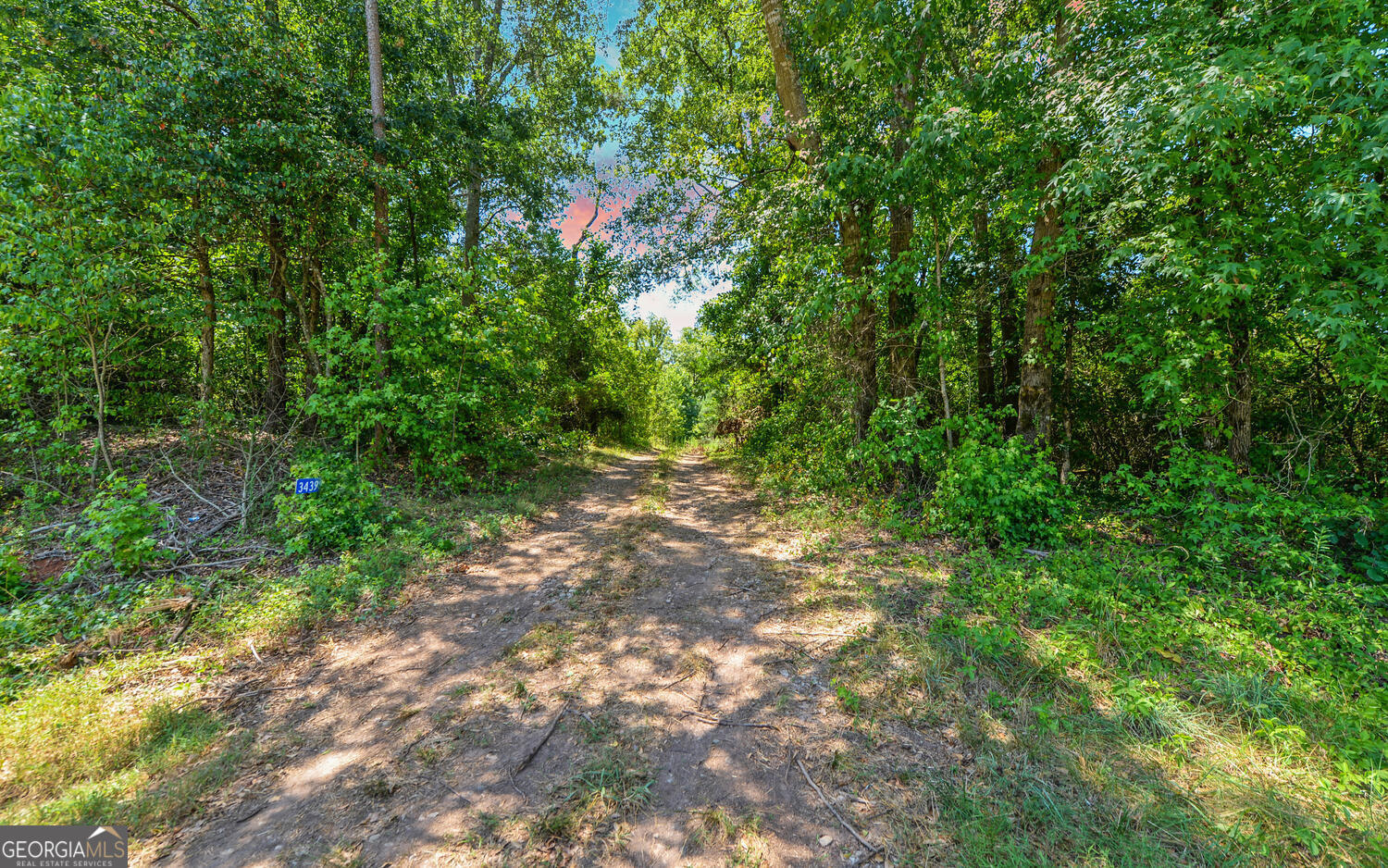 3439-tract 5 Providence Church Road Hartwell, GA 30643 - Photo 7 of 10 a view of a yard with plants and a tree