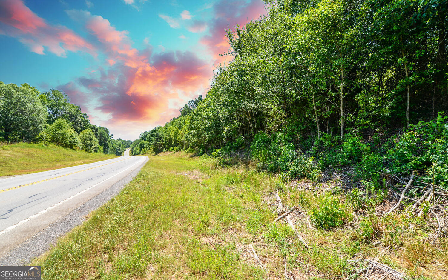 3439-tract 5 Providence Church Road Hartwell, GA 30643 - Photo 8 of 10 a view of a yard with plants and large trees