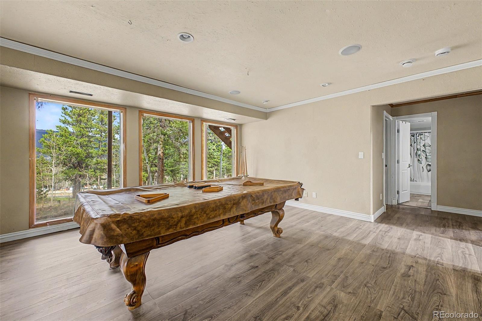 76 Highlands Drive Bailey, CO 80421 - Photo 20 of 49