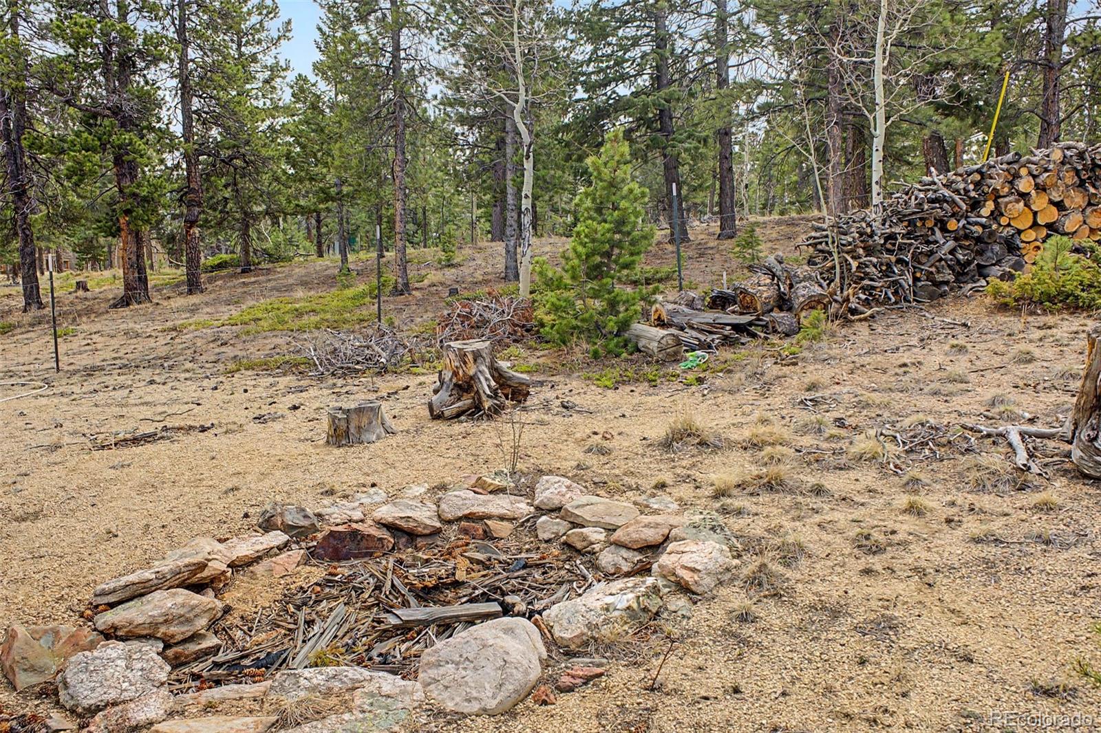 76 Highlands Drive Bailey, CO 80421 - Photo 39 of 49 a view of a yard with plants and trees