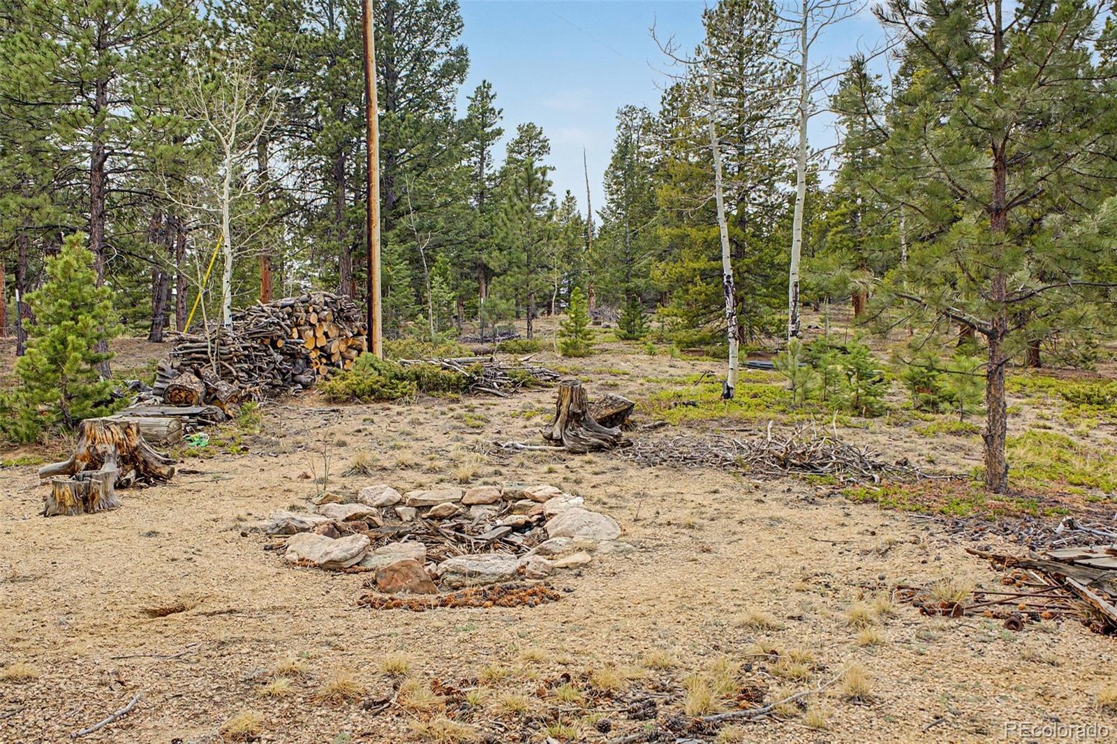 76 Highlands Drive Bailey, CO 80421 - Photo 41 of 49