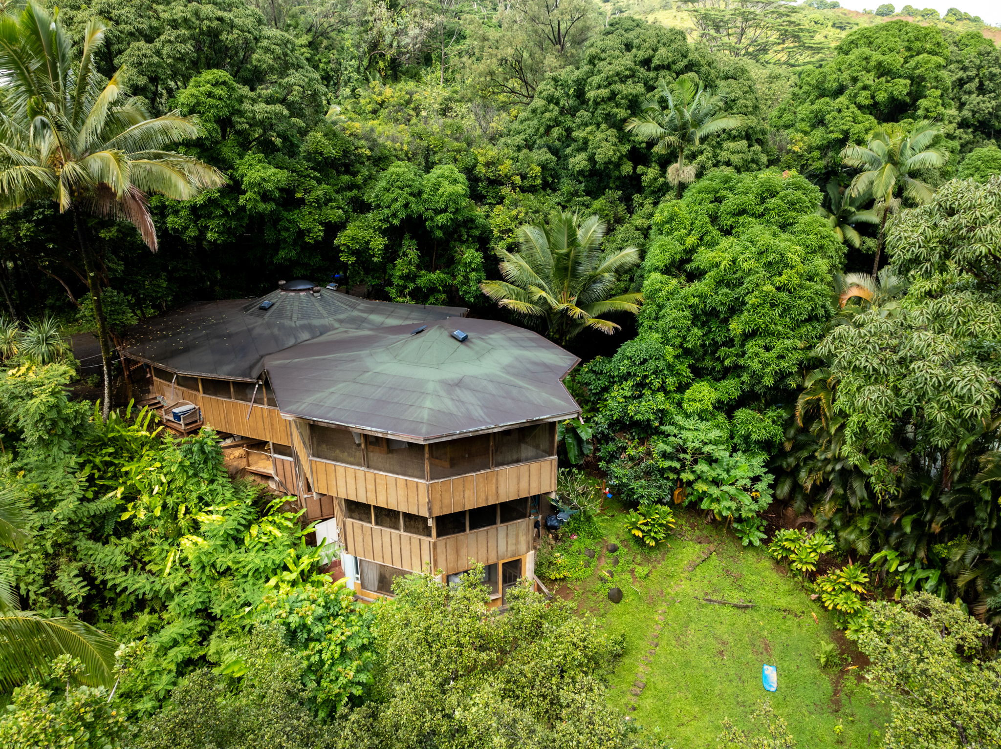 5051 Wainiha Powerhouse Road Hanalei, HI 96714 - Photo 17 of 28 an aerial view of a house with yard and trees in the background