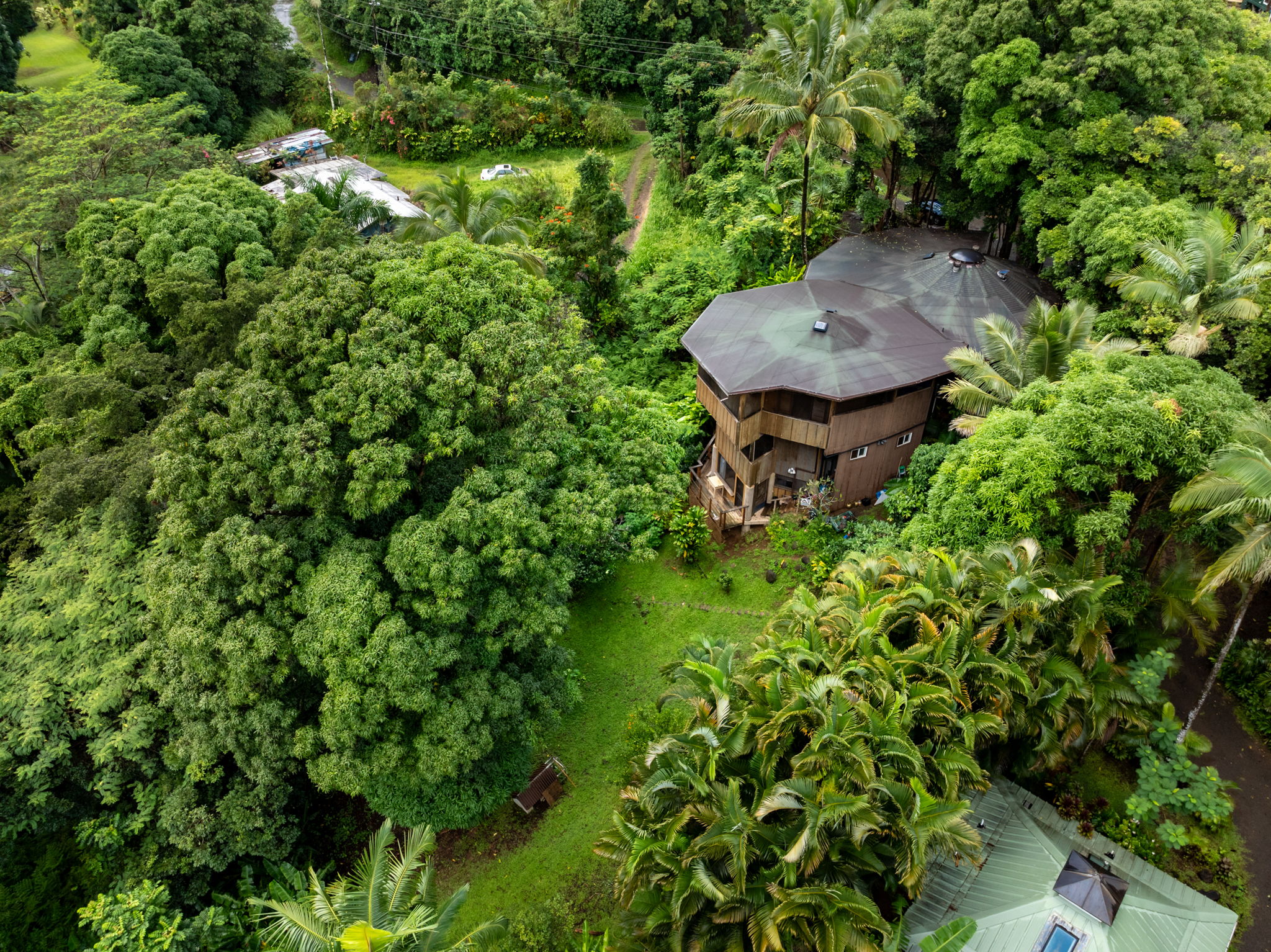 5051 Wainiha Powerhouse Road Hanalei, HI 96714 - Photo 20 of 28 a backyard of a house with a garden and plants