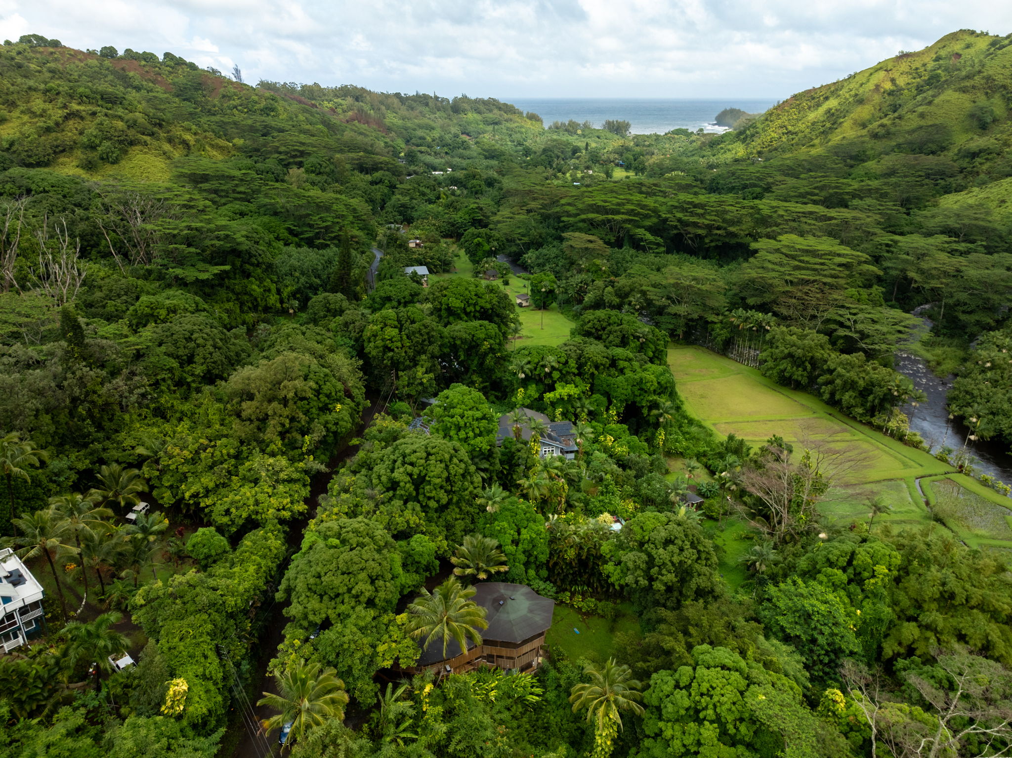 5051 Wainiha Powerhouse Road Hanalei, HI 96714 - Photo 22 of 28 a view of a lake with a lush green forest