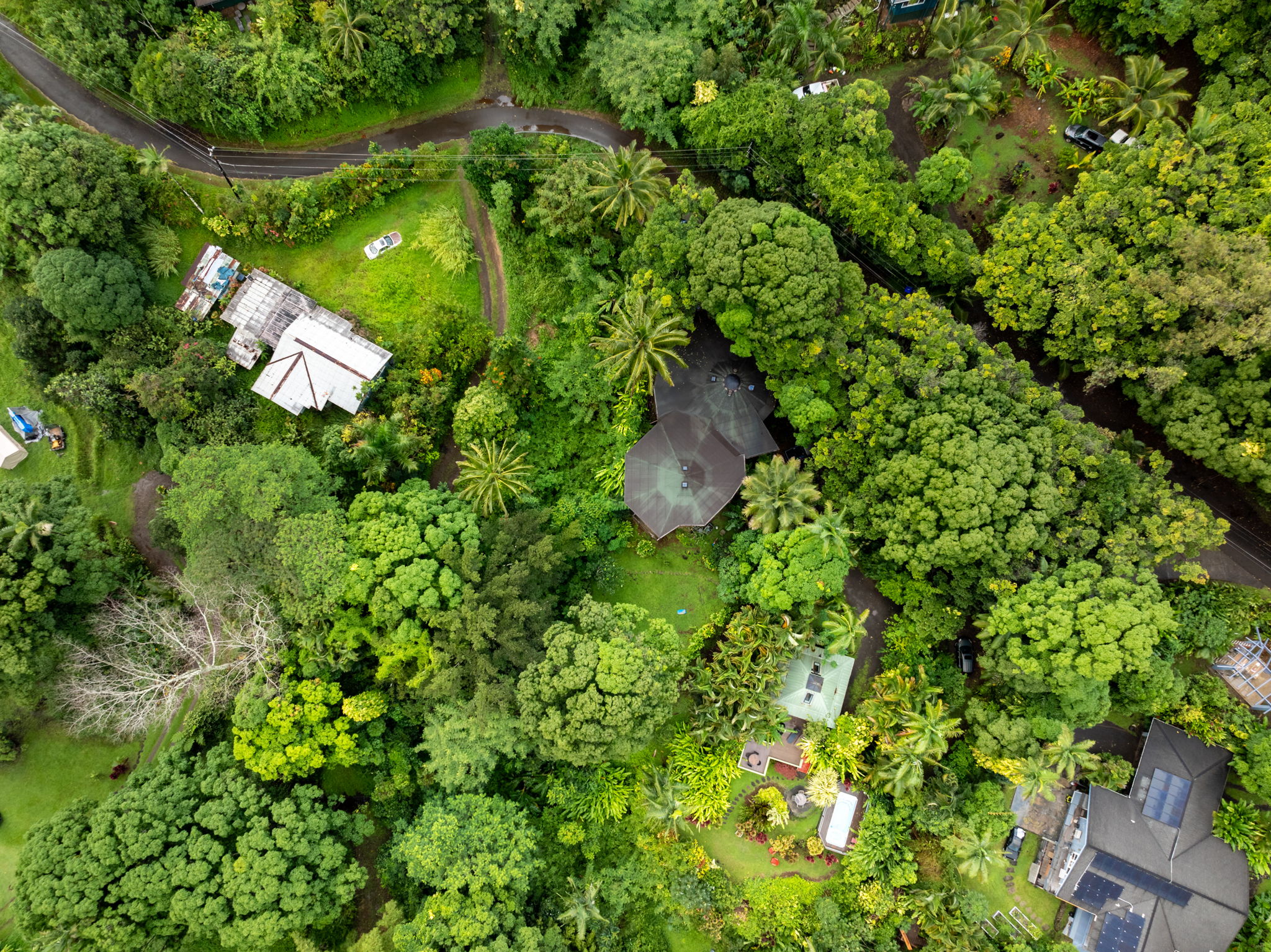 5051 Wainiha Powerhouse Road Hanalei, HI 96714 - Photo 23 of 28 a backyard of a house with lots of green space
