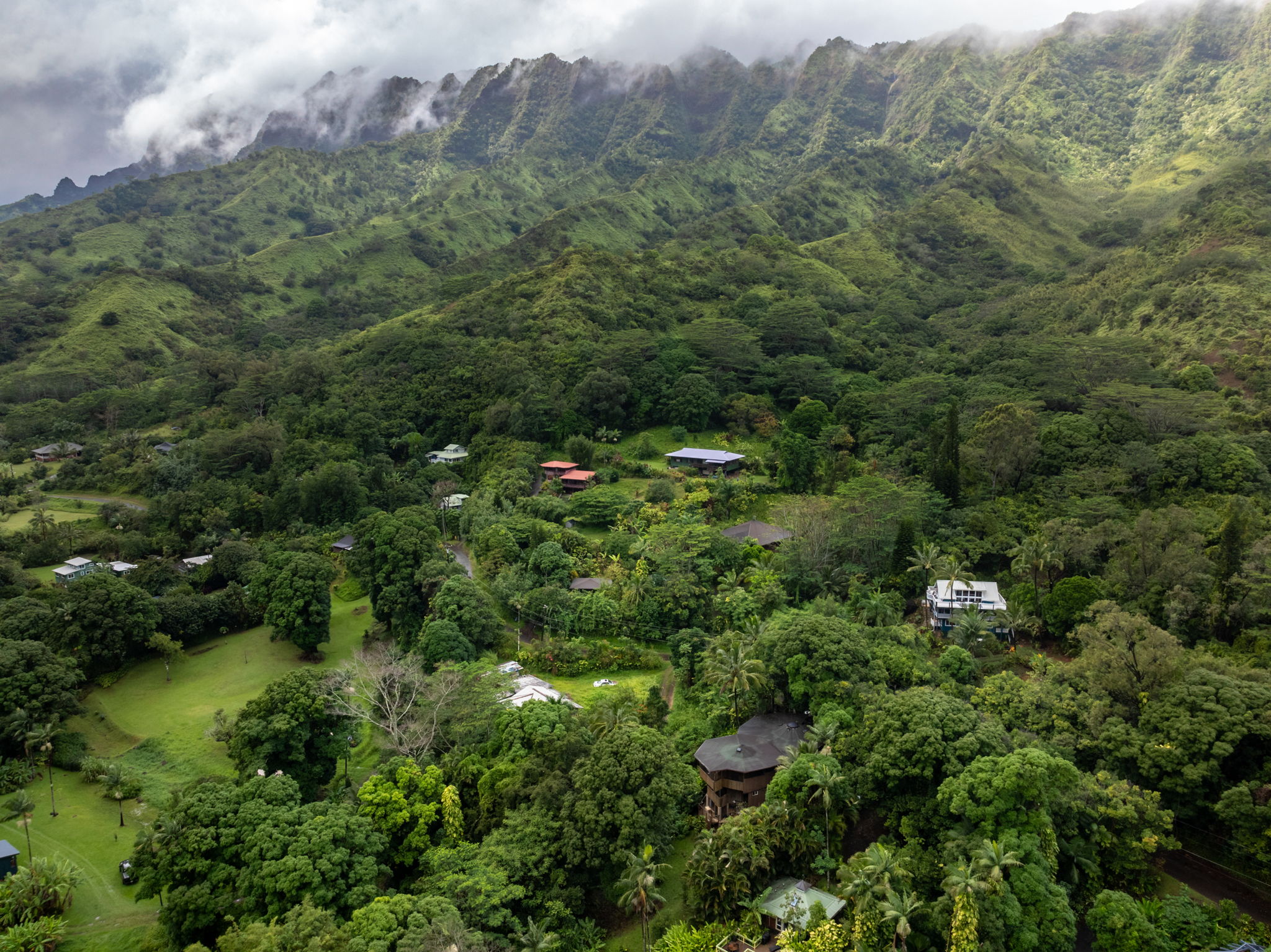 5051 Wainiha Powerhouse Road Hanalei, HI 96714 - Photo 24 of 28 a view of a forest with a street
