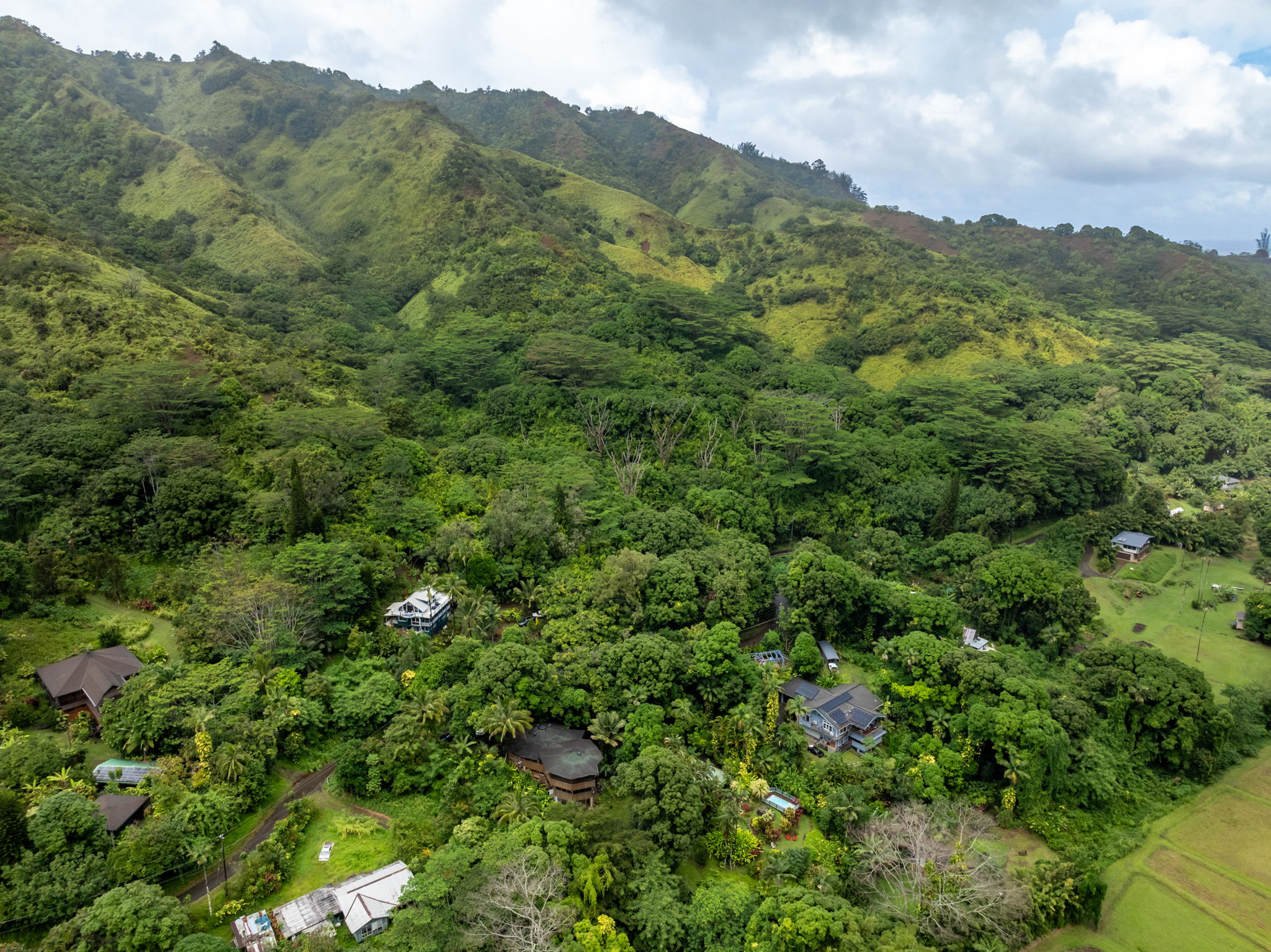 5051 Wainiha Powerhouse Road Hanalei, HI 96714 - Photo 25 of 28 a view of a lush green forest with a mountain