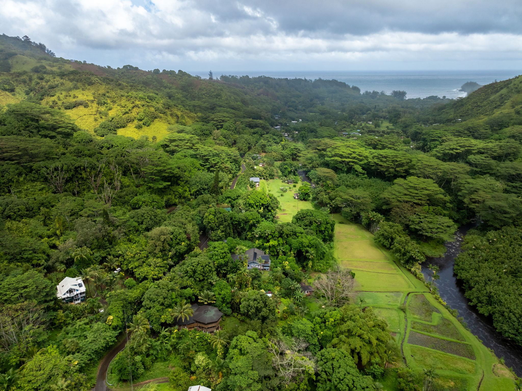 5051 Wainiha Powerhouse Road Hanalei, HI 96714 - Photo 26 of 28 a view of a lake with a lush green forest