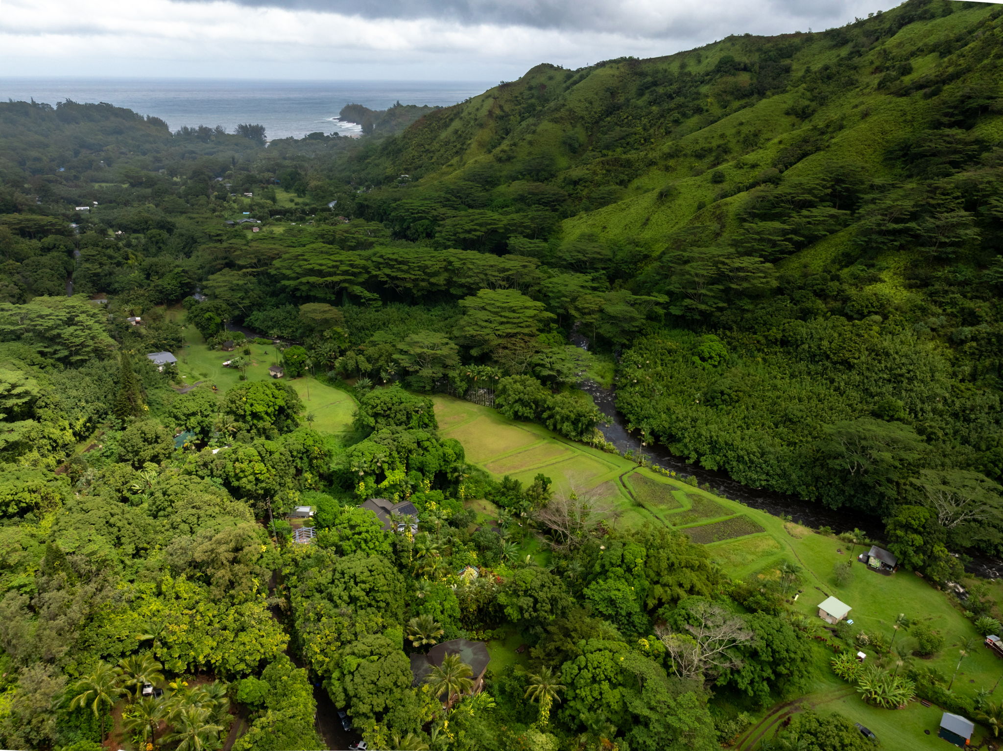 5051 Wainiha Powerhouse Road Hanalei, HI 96714 - Photo 27 of 28 a view of a lush green forest with lots of trees