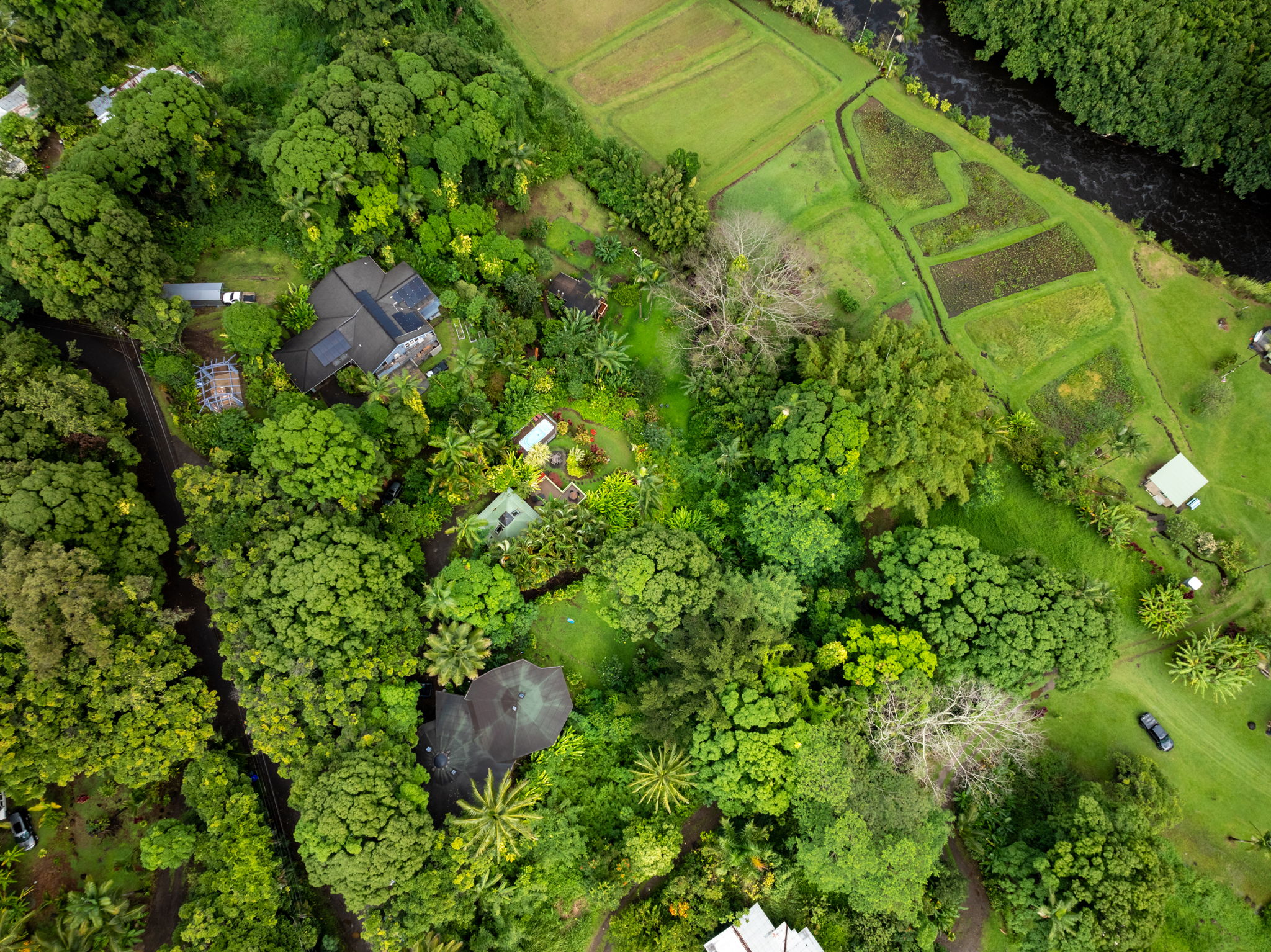 5051 Wainiha Powerhouse Road Hanalei, HI 96714 - Photo 28 of 28 a view of a garden
