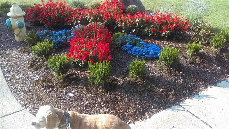 BEAUTIFUL LANDSCAPING AT CORNER OF LOT