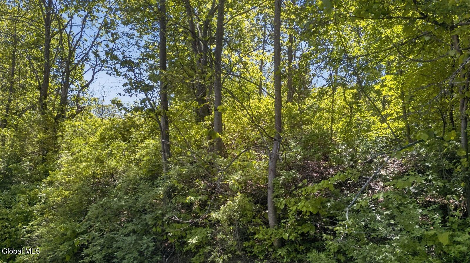 L2.01 L2.01 Willie Oneil Road Cherry Valley, NY 13320 - Photo 22 of 27 l2-01-willie-oneil-rd-cherry-valley-ny-p