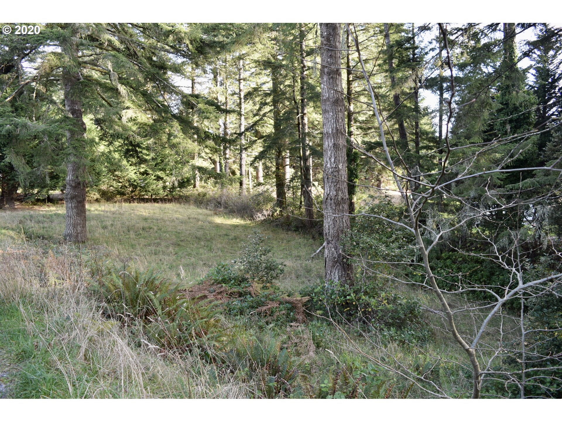 96291 Cape Ferrelo Road Brookings, OR 97415 - Photo 8 of 9 Gallery Image 8