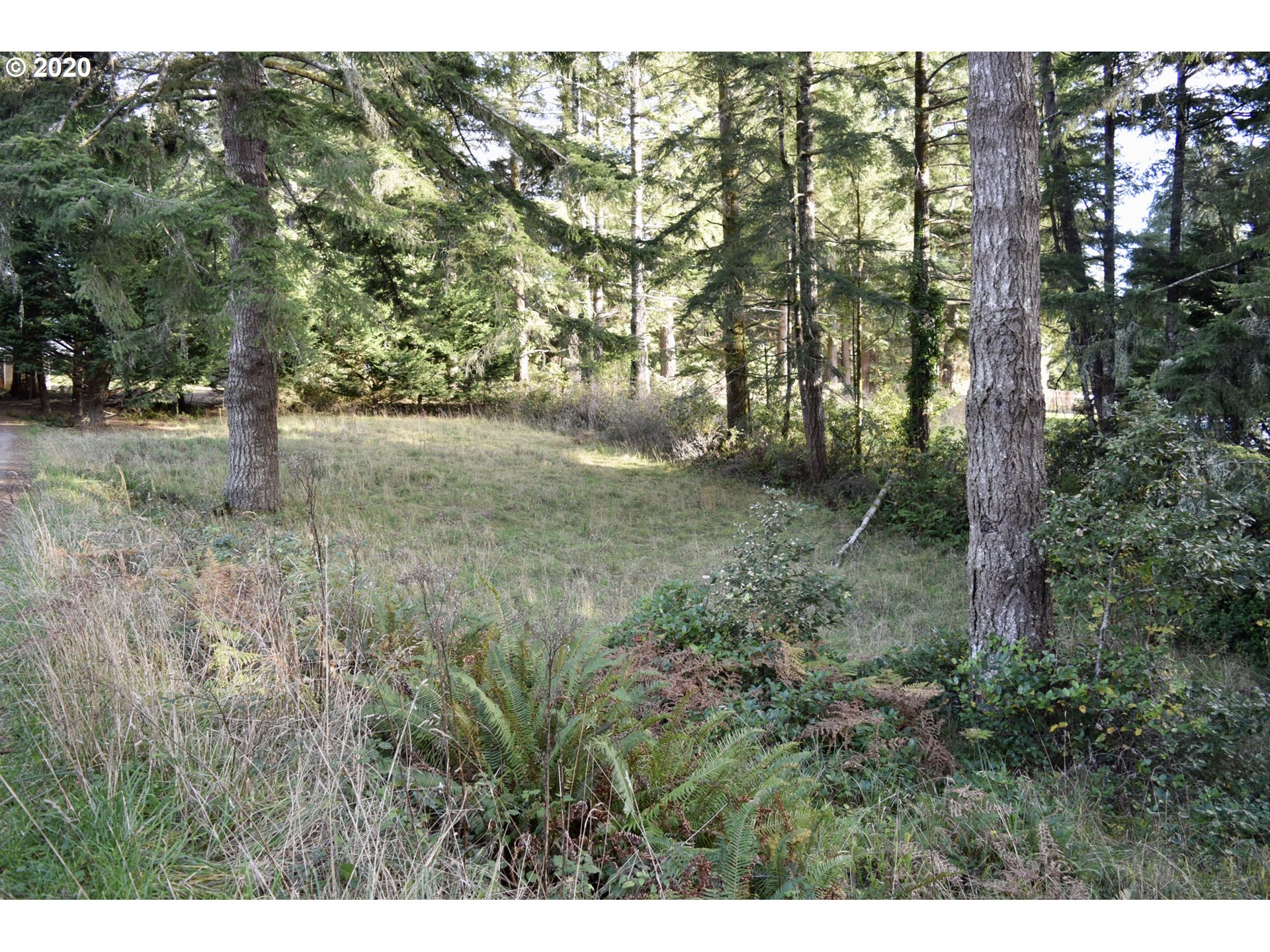 96291 Cape Ferrelo Road Brookings, OR 97415 - Photo 9 of 9 Gallery Image 9