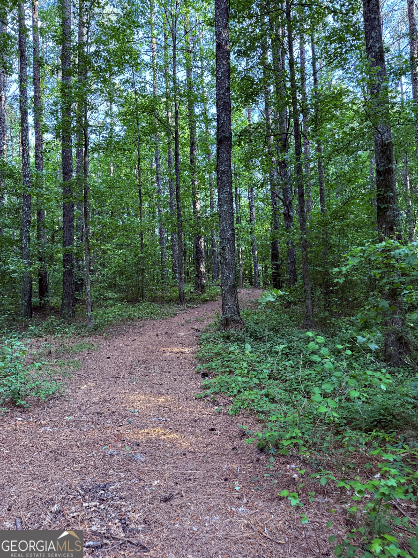 340 Adolphus-Callaway Road Washington, GA 30673 - Photo 4 of 13