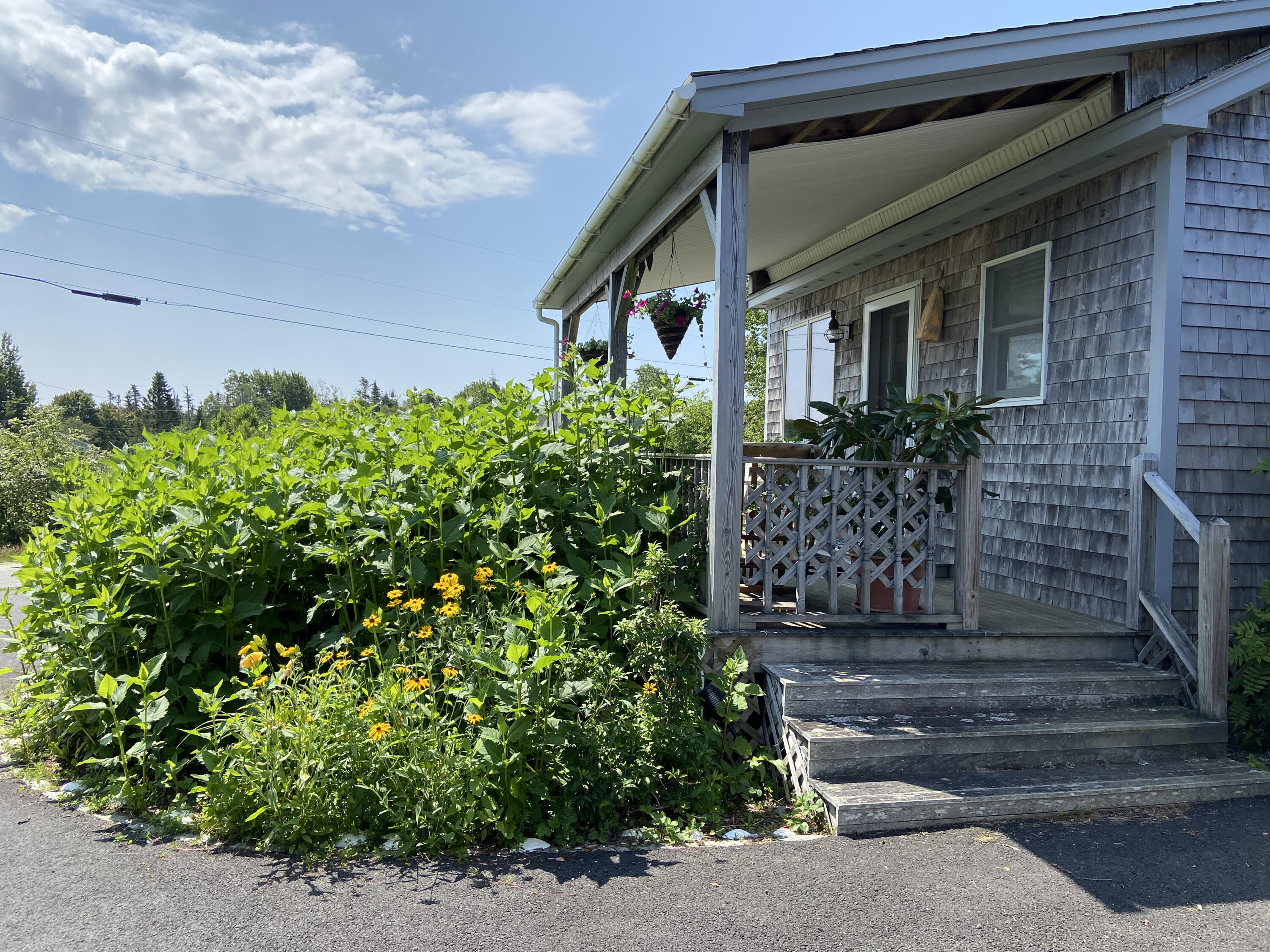 677 Corea Road Gouldsboro, ME 04624 - Photo 37 of 51 Guest house