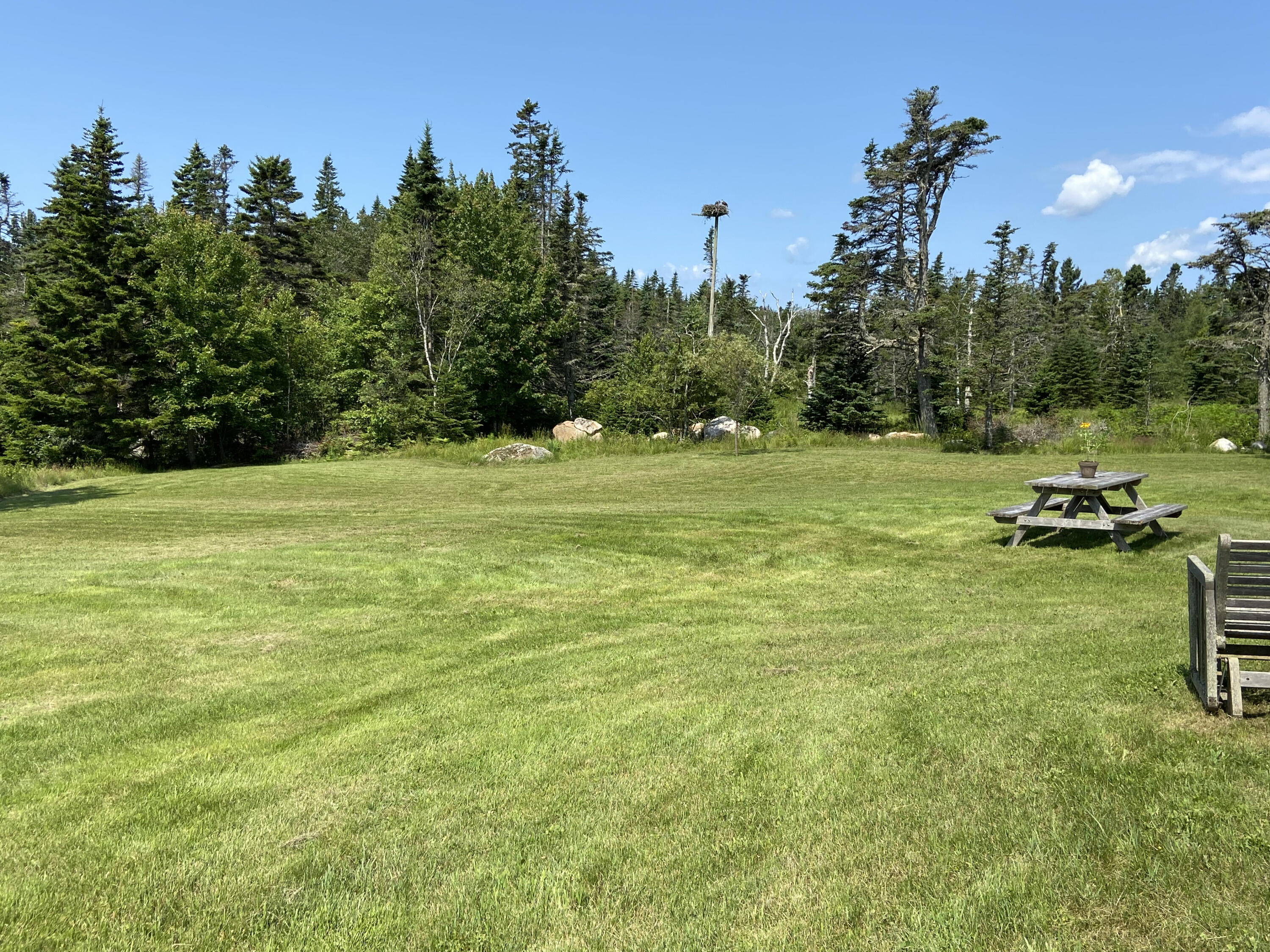 677 Corea Road Gouldsboro, ME 04624 - Photo 49 of 51 Back lawn
