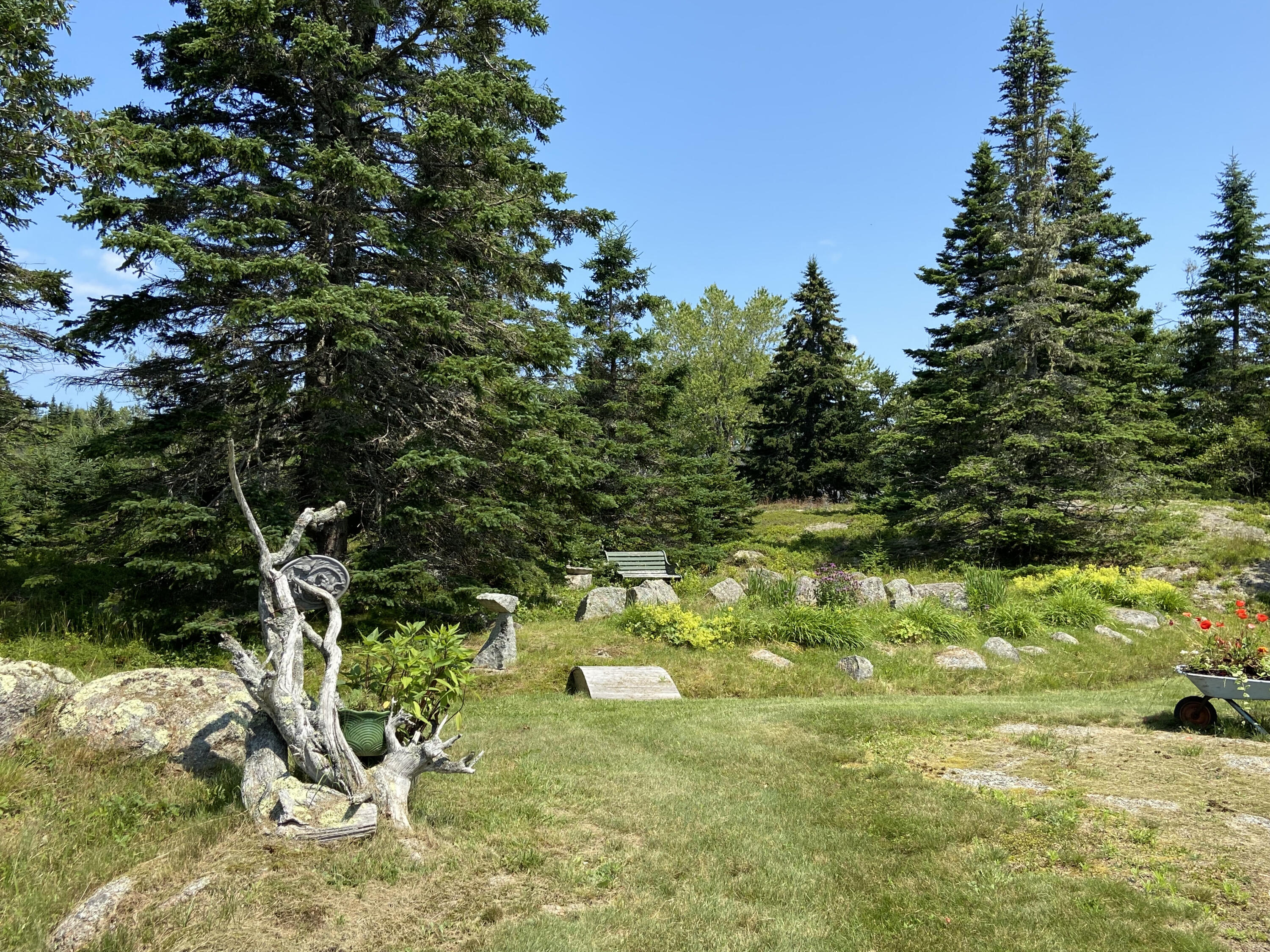 677 Corea Road Gouldsboro, ME 04624 - Photo 50 of 51 Back yard 3