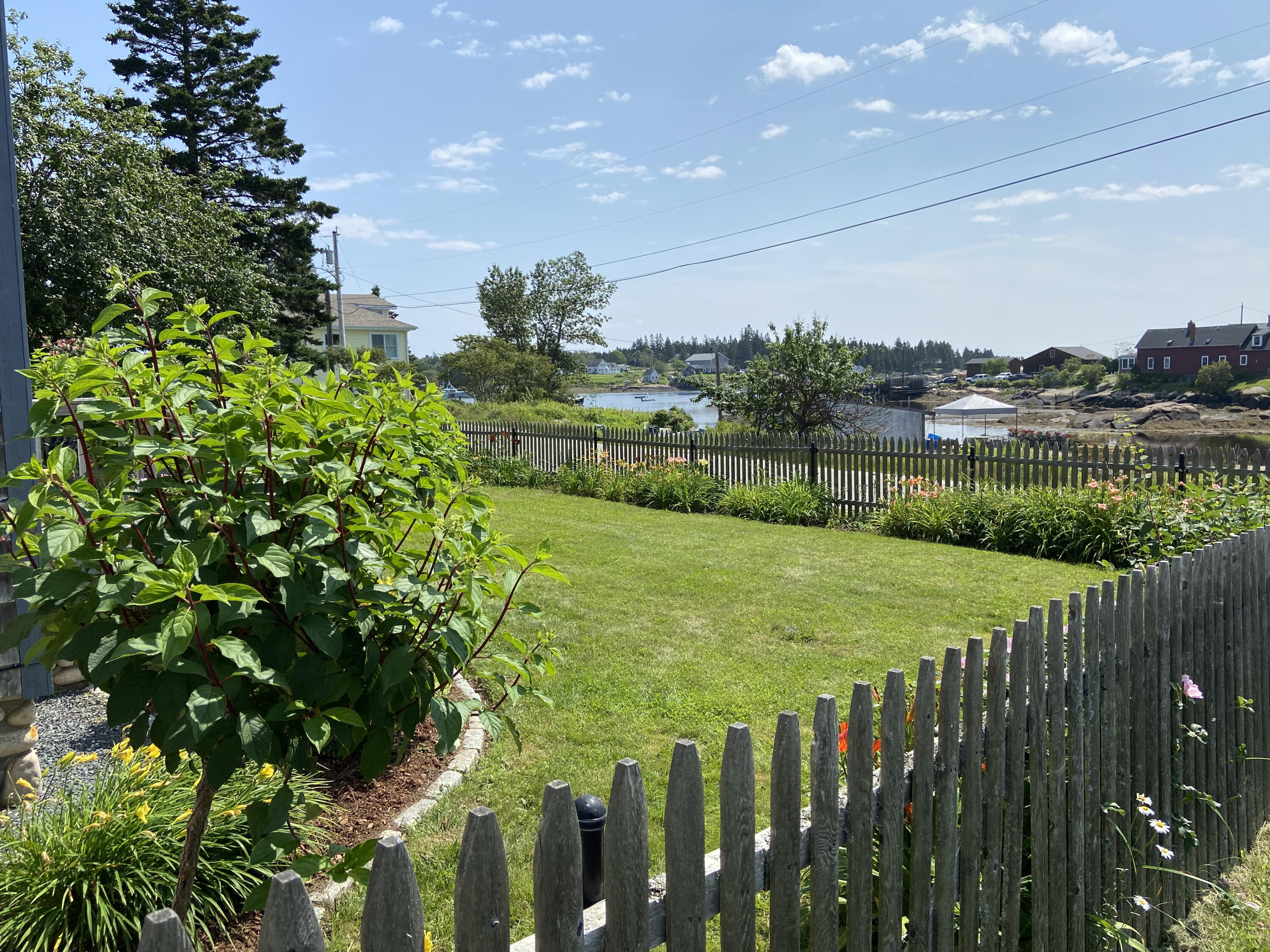 677 Corea Road Gouldsboro, ME 04624 - Photo 6 of 51 Front yard view