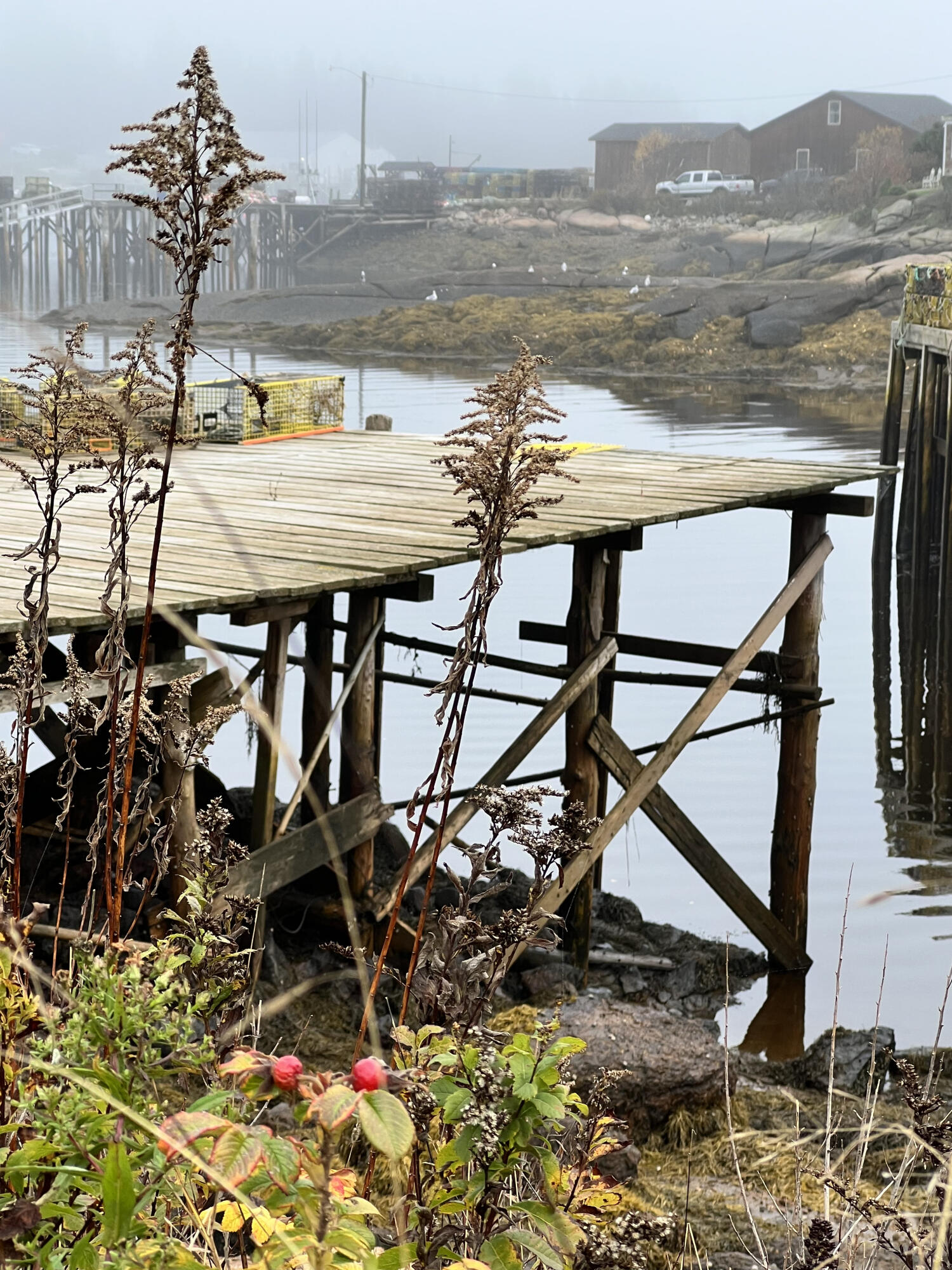 677 Corea Road Gouldsboro, ME 04624 - Photo 7 of 51 Dock