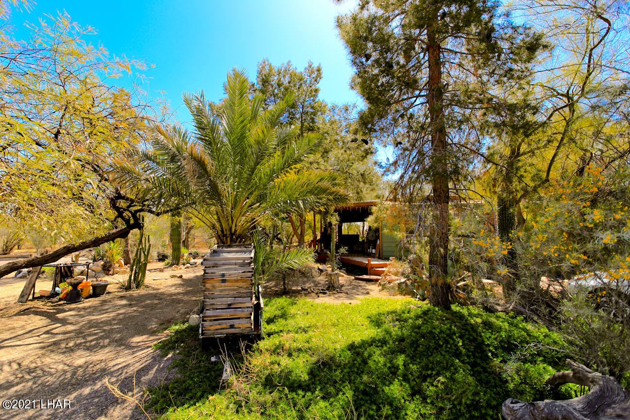 39532 McVay Road Salome, AZ 85348 - Photo 10 of 44 39532 McVay Rd-17