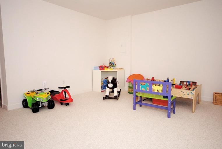 2060 Madrillon Road Vienna, VA 22182 - Photo 27 of 30 Basement #3