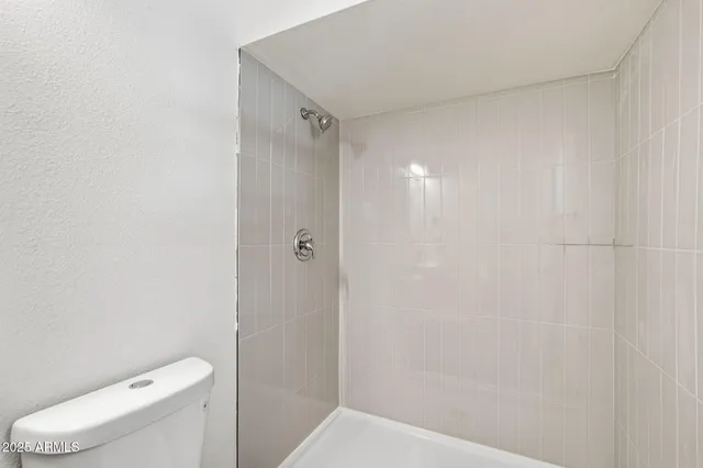 a bathroom with a shower and toilet