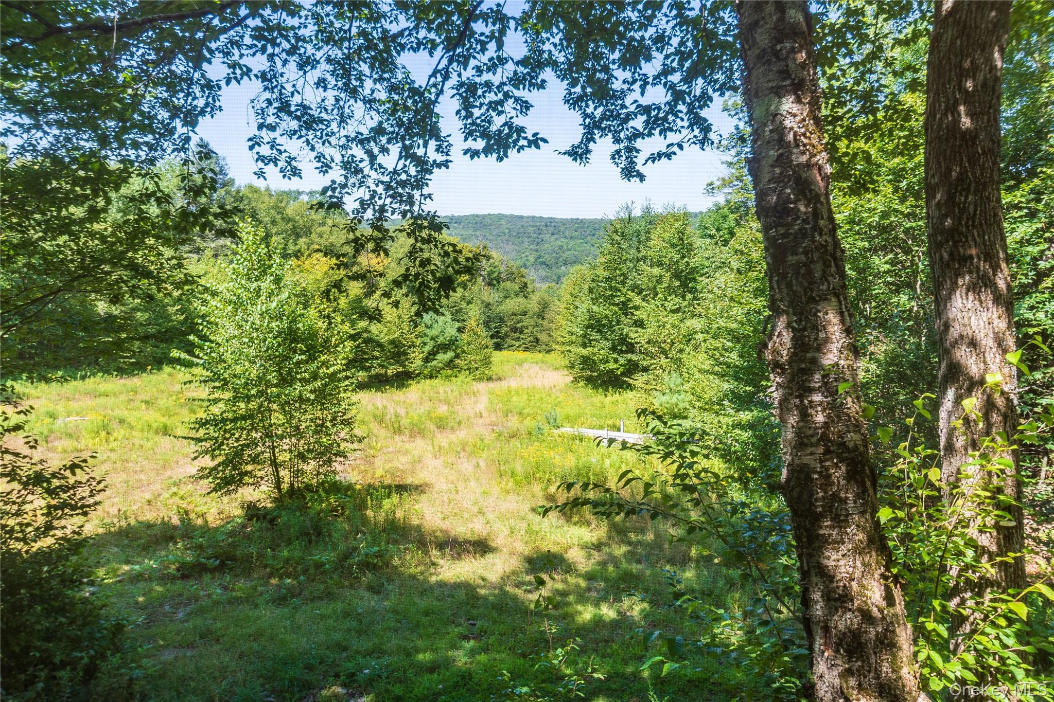 885 Grandview Road Hancock, NY 13783 - Photo 36 of 45 a view of a yard with a tree