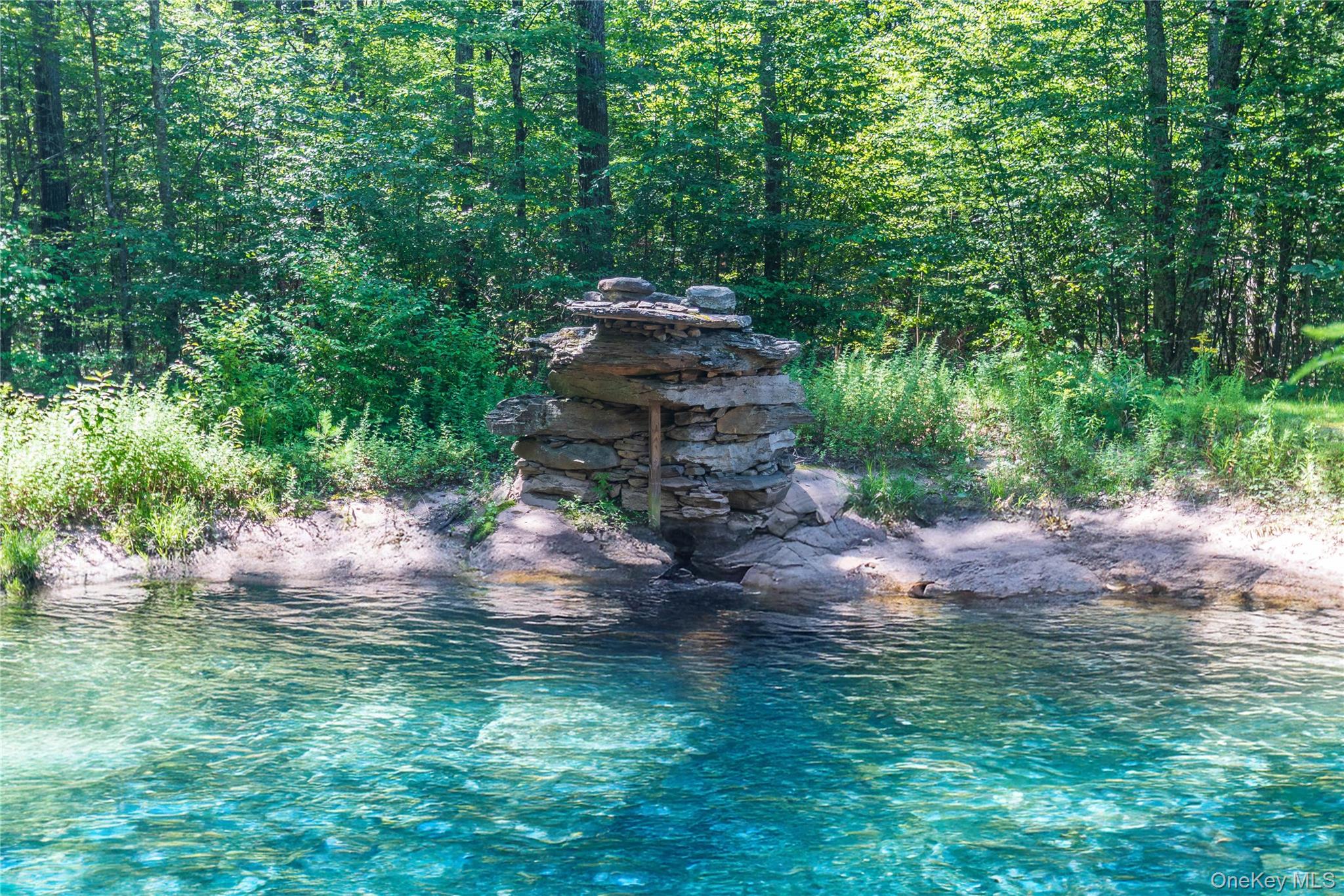 885 Grandview Road Hancock, NY 13783 - Photo 4 of 45 a backyard of a house with lots of green space