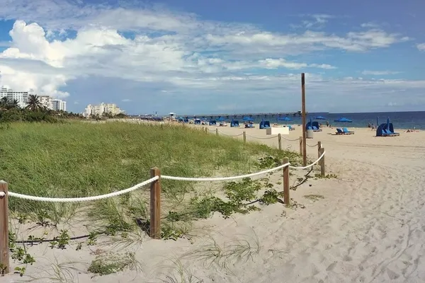 a view of a swimming pool with a yard