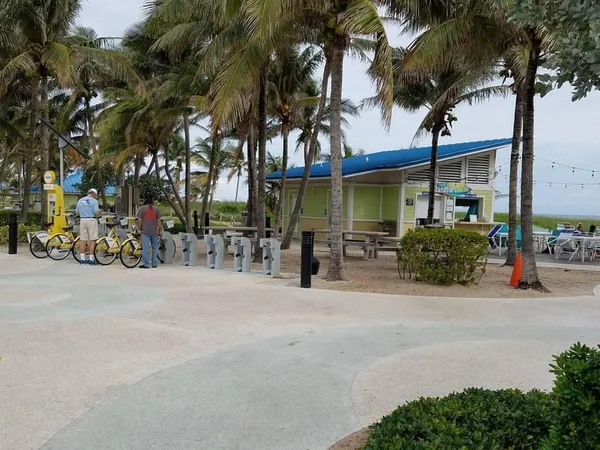 an outdoor space with lots of palm trees