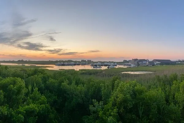 a view of a city with lush green forest