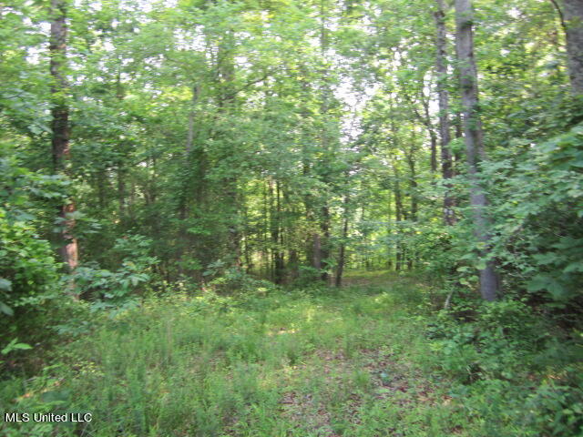 567 Walnut Ripley, MS 38663 - Photo 4 of 14 IMG_6791