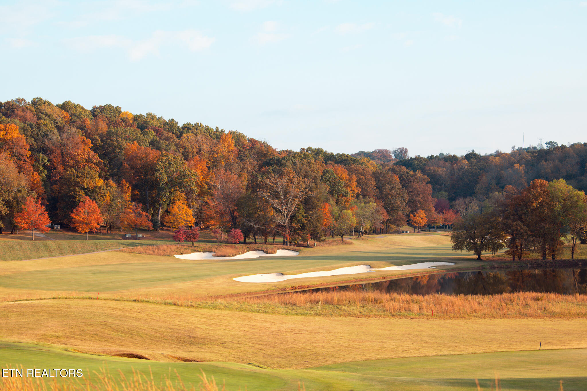 104 Azalea Lane Loudon, TN 37774 - Photo 30 of 34 24.1.27Fallleaves-03