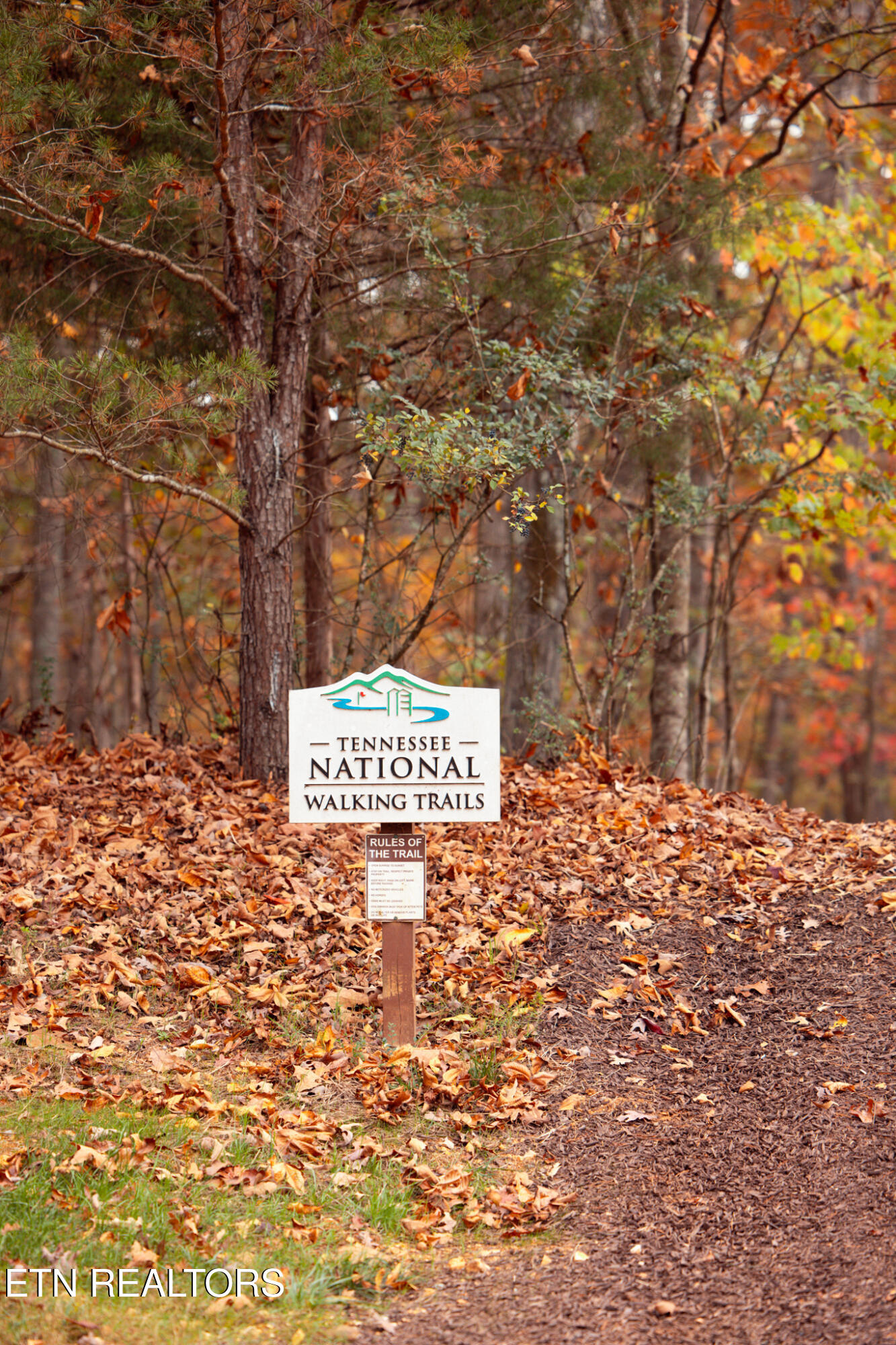 104 Azalea Lane Loudon, TN 37774 - Photo 31 of 34 24.11.07Fallleaves-1
