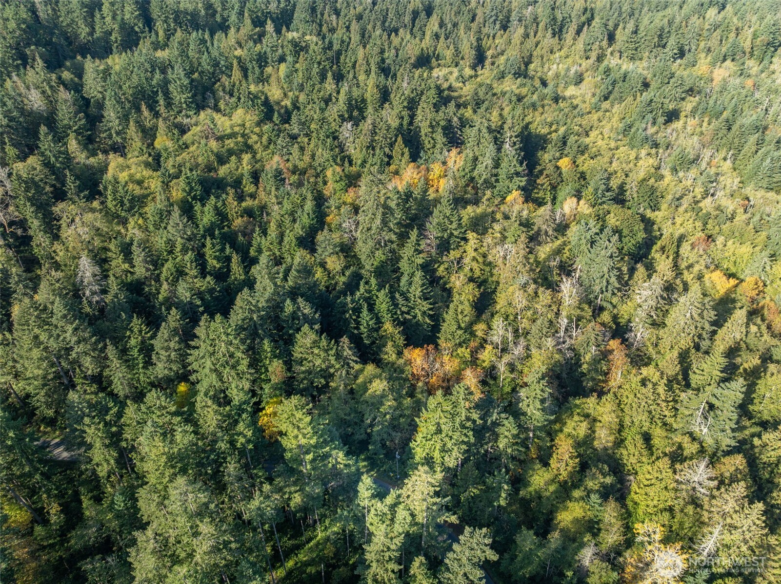 1 Yoman Road Anderson Island, WA 98303 - Photo 5 of 7