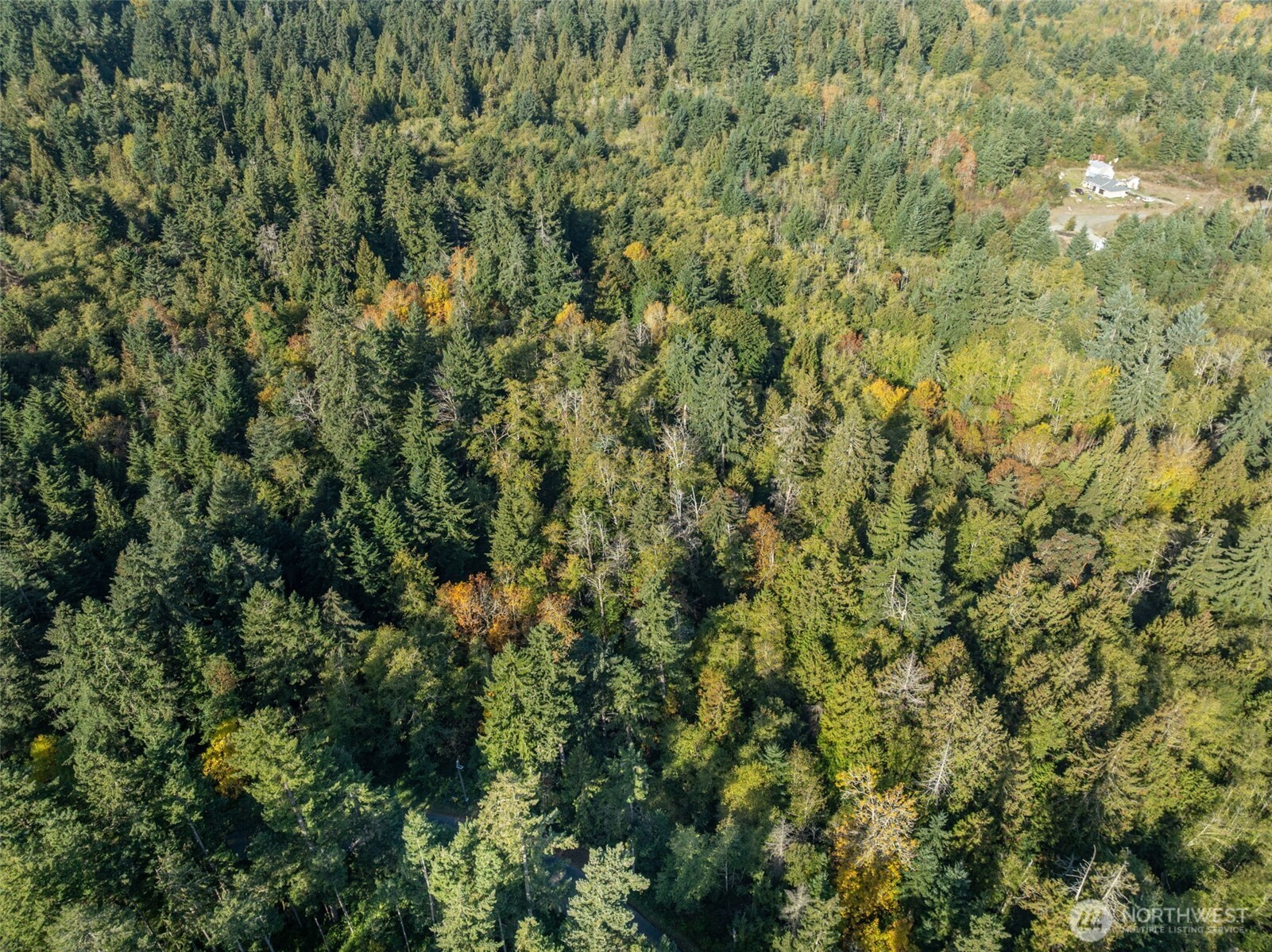 1 Yoman Road Anderson Island, WA 98303 - Photo 6 of 7
