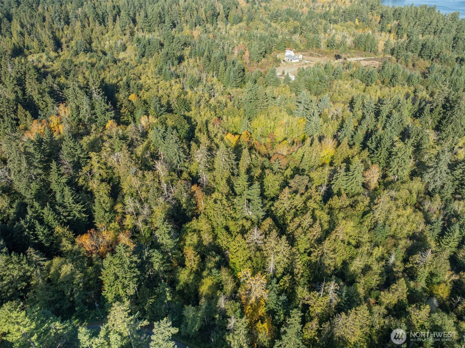 1 Yoman Road Anderson Island, WA 98303 - Photo 7 of 7