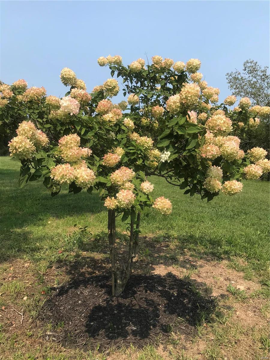 12330 State Rte V Rolla, MO 65401 - Photo 49 of 57