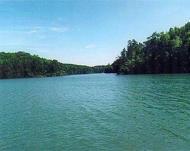 Tract #3 Jackson Cove Farms Road Mill Spring, NC 28756 - Photo 1 of 17 Gallery Image 1