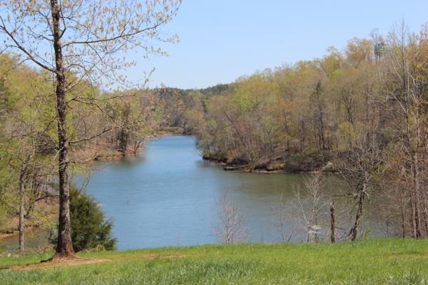 Tract #3 Jackson Cove Farms Road Mill Spring, NC 28756 - Photo 11 of 17 Gallery Image 11