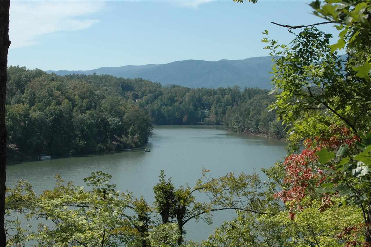Tract #3 Jackson Cove Farms Road Mill Spring, NC 28756 - Photo 15 of 17 Gallery Image 15