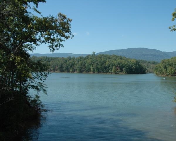 Tract #3 Jackson Cove Farms Road Mill Spring, NC 28756 - Photo 17 of 17 Gallery Image 17