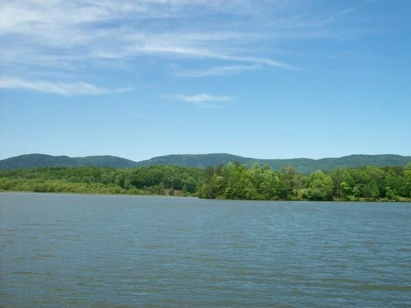 Tract #3 Jackson Cove Farms Road Mill Spring, NC 28756 - Photo 2 of 17 Gallery Image 2