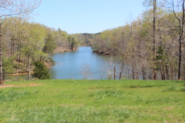 Tract #3 Jackson Cove Farms Road Mill Spring, NC 28756 - Photo 10 of 17 Gallery Image 10