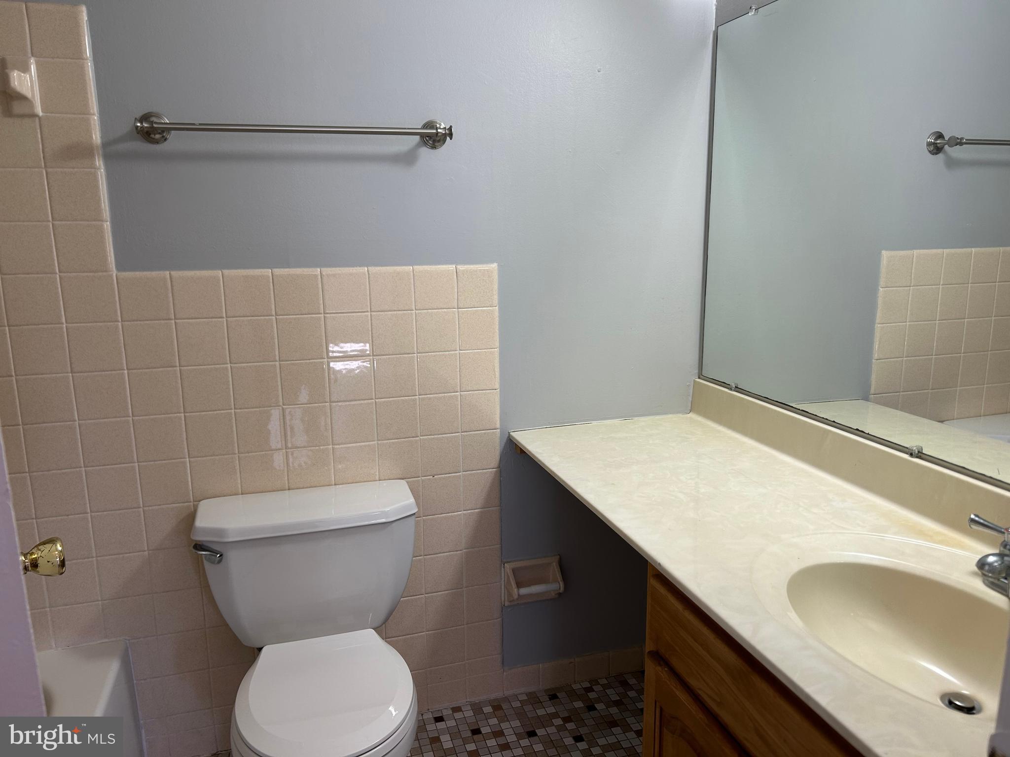 29 Ramsgate Court, Unit 214 U29 Blue Bell, PA 19422 - Photo 20 of 20 Main Bathroom
