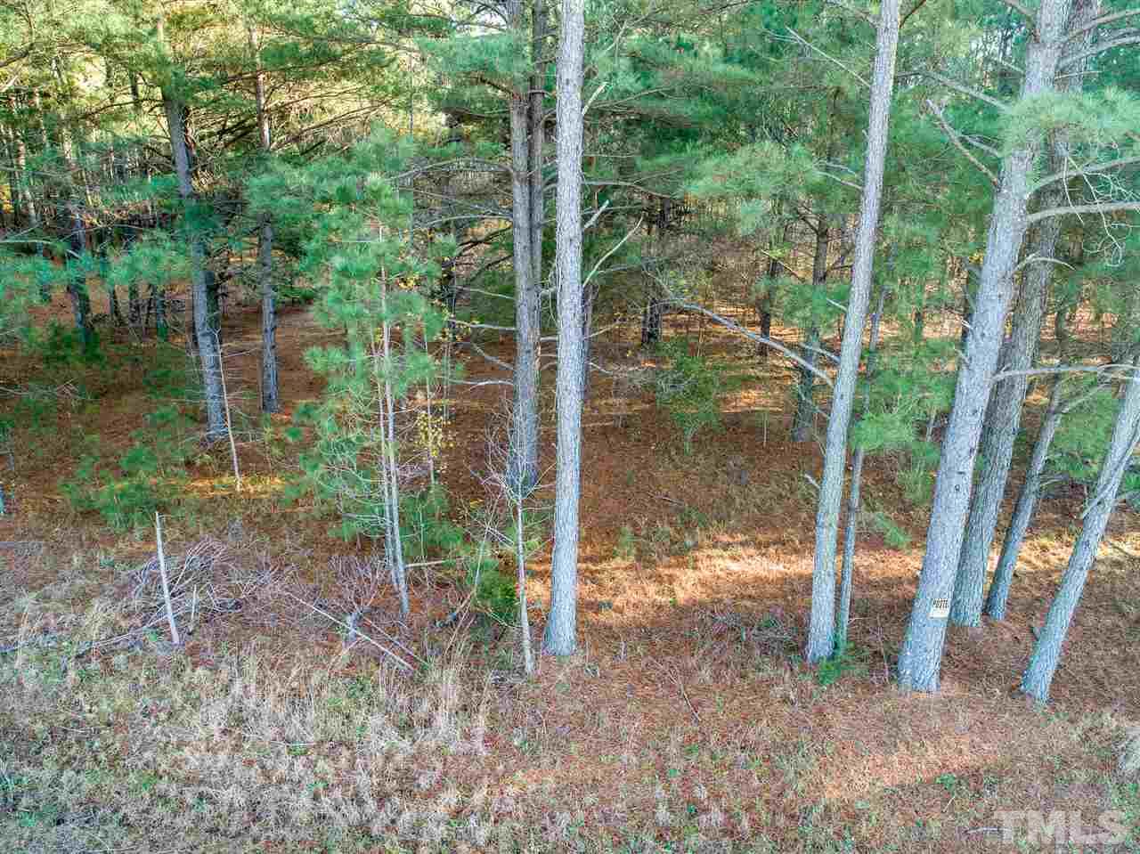 588 Kinsey Road Benson, NC 27504 - Photo 7 of 7 Gallery Image 7